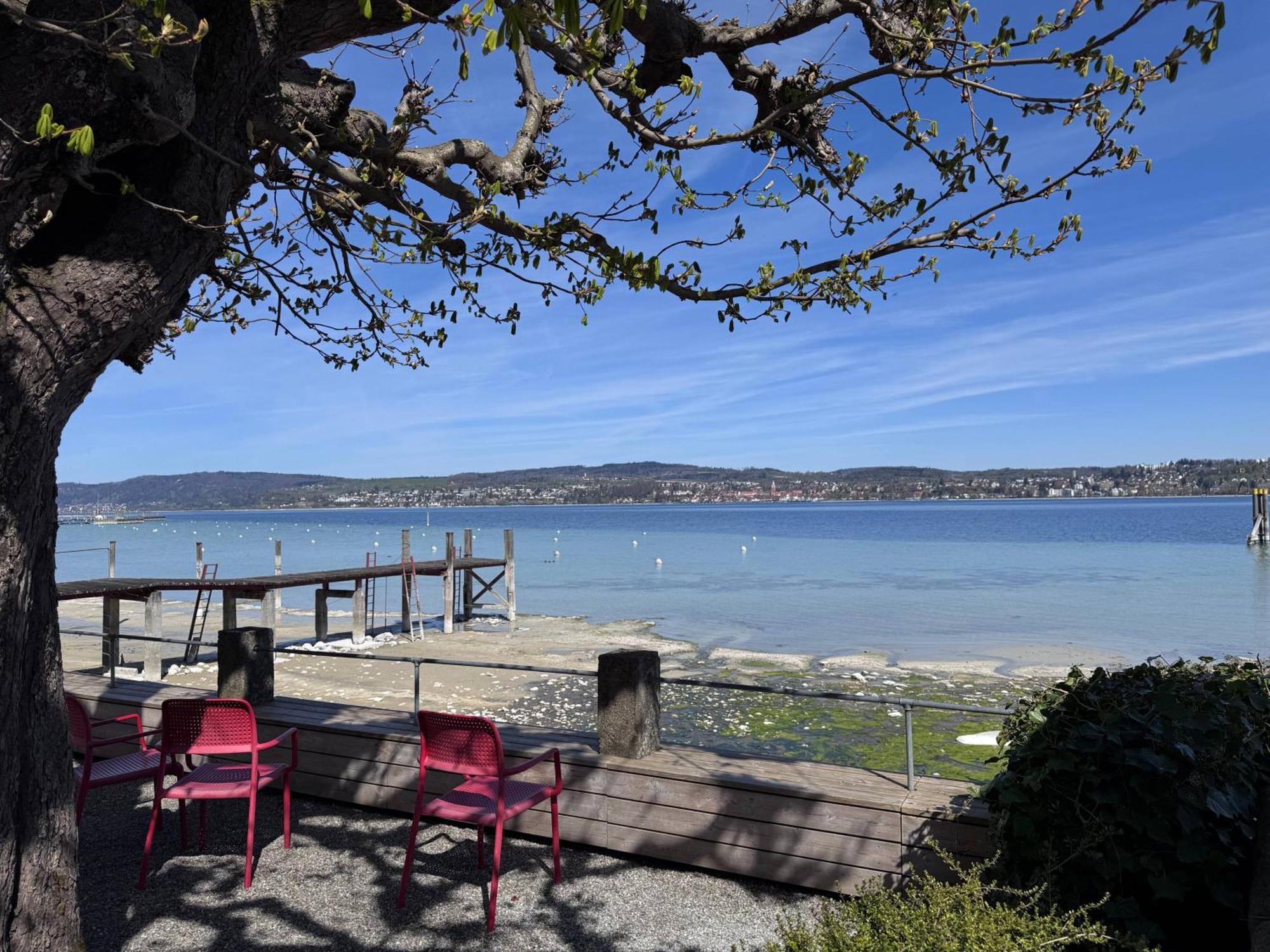 Seeglueck Seegold - Moderne Maisonette-Wohnung Mit Balkon Und Parkplatz In Seenaehe In Konstanz-Dingels-Dorf Экстерьер фото